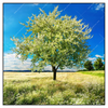 Led Wandbild Wiese Mit Bluehendem Baum Quadrat Produktvorschau Frontal
