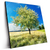 Led Wandbild Wiese Mit Bluehendem Baum Quadrat Produktvorschau Seitlich