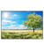 Led Wandbild Wiese Mit Bluehendem Baum Querformat Produktvorschau Frontal