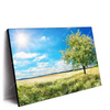 Led Wandbild Wiese Mit Bluehendem Baum Querformat Produktvorschau Seitlich