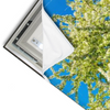 Led Wandbild Wiese Mit Bluehendem Baum Schmal Materialvorschau