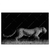 Led Wandbild Wilder Leopard Querformat Produktvorschau Frontal