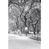 Led Wandbild Wintermorgen Im Central Park Hochformat Motivvorschau
