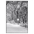 Led Wandbild Wintermorgen Im Central Park Hochformat Produktvorschau Frontal