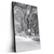 Led Wandbild Wintermorgen Im Central Park Hochformat Produktvorschau Seitlich
