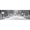 Led Wandbild Wintermorgen Im Central Park Panorama Motivvorschau