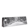 Led Wandbild Wintermorgen Im Central Park Panorama Produktvorschau Seitlich