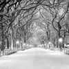 Led Wandbild Wintermorgen Im Central Park Quadrat Motivvorschau