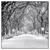 Led Wandbild Wintermorgen Im Central Park Quadrat Produktvorschau Frontal