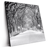 Led Wandbild Wintermorgen Im Central Park Quadrat Produktvorschau Seitlich