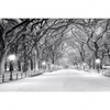 Led Wandbild Wintermorgen Im Central Park Querformat Motivvorschau