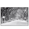 Led Wandbild Wintermorgen Im Central Park Querformat Produktvorschau Frontal