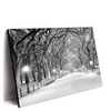 Led Wandbild Wintermorgen Im Central Park Querformat Produktvorschau Seitlich