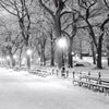 Led Wandbild Wintermorgen Im Central Park Querformat Zoom