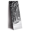 Led Wandbild Wintermorgen Im Central Park Schmal Produktvorschau Seitlich
