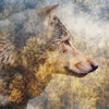 Led Wandbild Wolf Wald No 2 Querformat Zoom