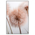 Led Wandbild Zarte Pusteblume Hochformat Produktvorschau Frontal