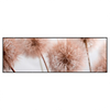 Led Wandbild Zarte Pusteblume Panorama Produktvorschau Frontal