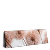 Led Wandbild Zarte Pusteblume Panorama Produktvorschau Seitlich