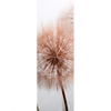 Led Wandbild Zarte Pusteblume Schmal Motivvorschau