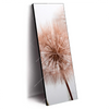 Led Wandbild Zarte Pusteblume Schmal Produktvorschau Seitlich