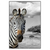 Led Wandbild Zebra In Afrika Hochformat Produktvorschau Frontal