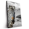 Led Wandbild Zebra In Afrika Hochformat Produktvorschau Seitlich