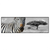 Led Wandbild Zebra In Afrika Panorama Produktvorschau Frontal