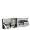 Led Wandbild Zebra In Afrika Panorama Produktvorschau Seitlich