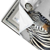 Led Wandbild Zebra In Afrika Quadrat Materialvorschau