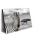 Led Wandbild Zebra In Afrika Querformat Produktvorschau Seitlich