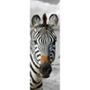 Led Wandbild Zebra In Afrika Schmal Motivvorschau