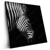 Led Wandbild Zebra Schwarzweiss Quadrat Produktvorschau Seitlich