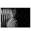 Led Wandbild Zebra Schwarzweiss Querformat Produktvorschau Frontal