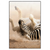Led Wandbild Zebra Staub Hochformat Produktvorschau Frontal