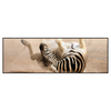 Led Wandbild Zebra Staub Panorama Produktvorschau Frontal