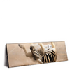 Led Wandbild Zebra Staub Panorama Produktvorschau Seitlich