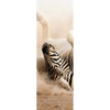 Led Wandbild Zebra Staub Schmal Motivvorschau