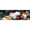 Led Wandbild Zen Steine Mit Blumen Panorama Motivvorschau