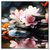 Led Wandbild Zen Steine Mit Blumen Quadrat Produktvorschau Frontal