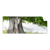 Textil Ersatzdruck Alte Linde Auf Sommerwiese Panorama Produktvorschau Frontal