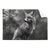 Textil Ersatzdruck Anmutiger Fuchs Querformat Produktvorschau Frontal
