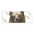 Textil Ersatzdruck Baer Wald No 1 Panorama Produktvorschau Frontal