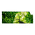 Textil Ersatzdruck Baum Im Wald Panorama Produktvorschau Frontal