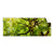 Textil Ersatzdruck Baumkrone Einer Buche Panorama Produktvorschau Frontal