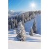 Textil Ersatzdruck Berge Und Waelder In Schnee Hochformat Motivvorschau