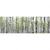 Textil Ersatzdruck Birkenwald Panorama Motivvorschau
