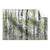 Textil Ersatzdruck Birkenwald Querformat Produktvorschau Frontal