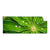 Textil Ersatzdruck Blatt Mit Wassertropfen Panorama Produktvorschau Frontal