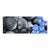 Textil Ersatzdruck Blaue Blume Graue Steine Panorama Produktvorschau Frontal